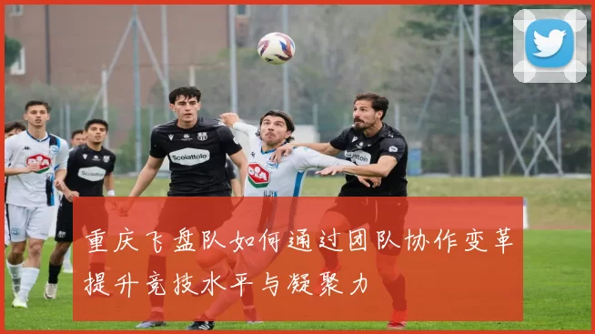 重庆飞盘队如何通过团队协作变革提升竞技水平与凝聚力