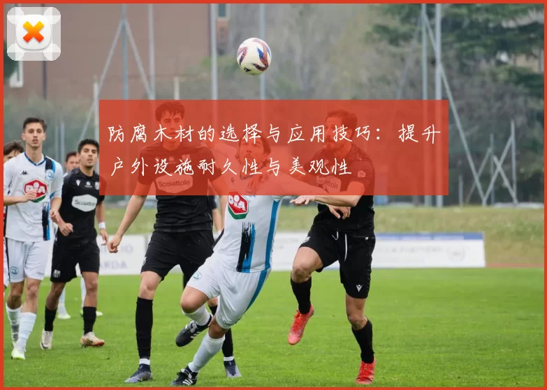 防腐木材的选择与应用技巧：提升户外设施耐久性与美观性