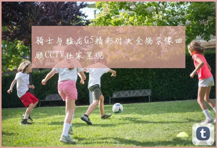 骑士与猛龙G5精彩对决全场录像回顾CCTV独家呈现