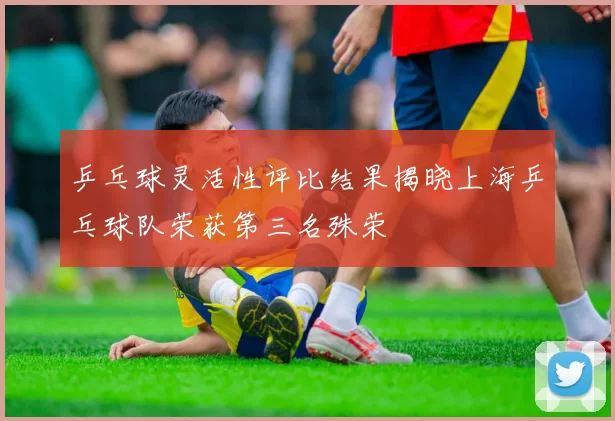 乒乓球灵活性评比结果揭晓上海乒乓球队荣获第三名殊荣