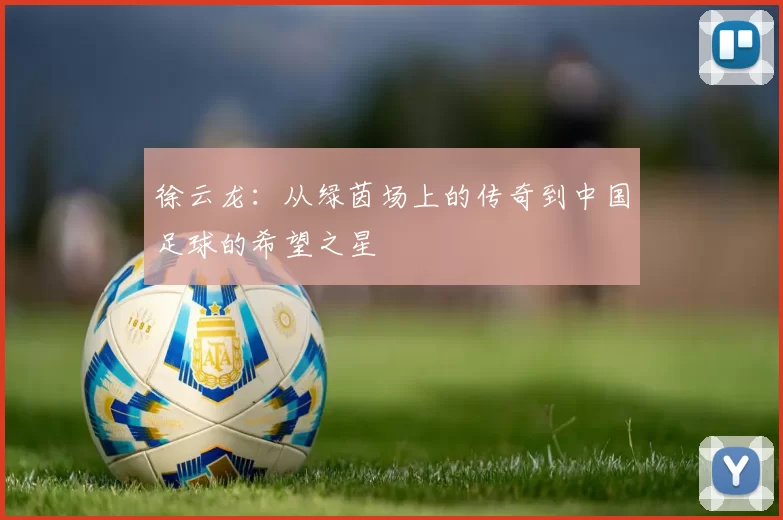 徐云龙：从绿茵场上的传奇到中国足球的希望之星
